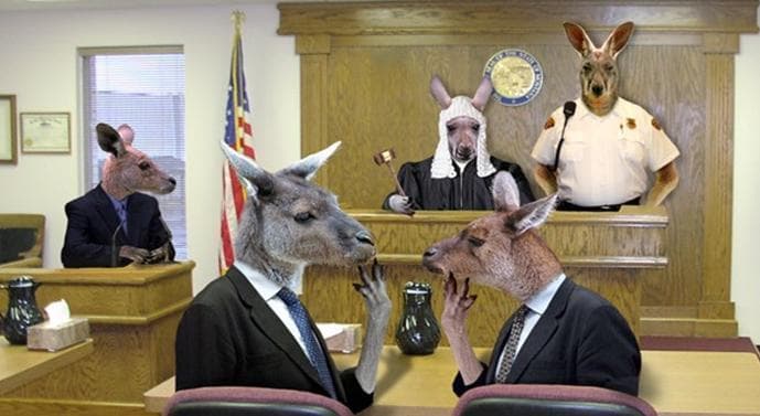 Kangaroo Court. What The Heck Is This?