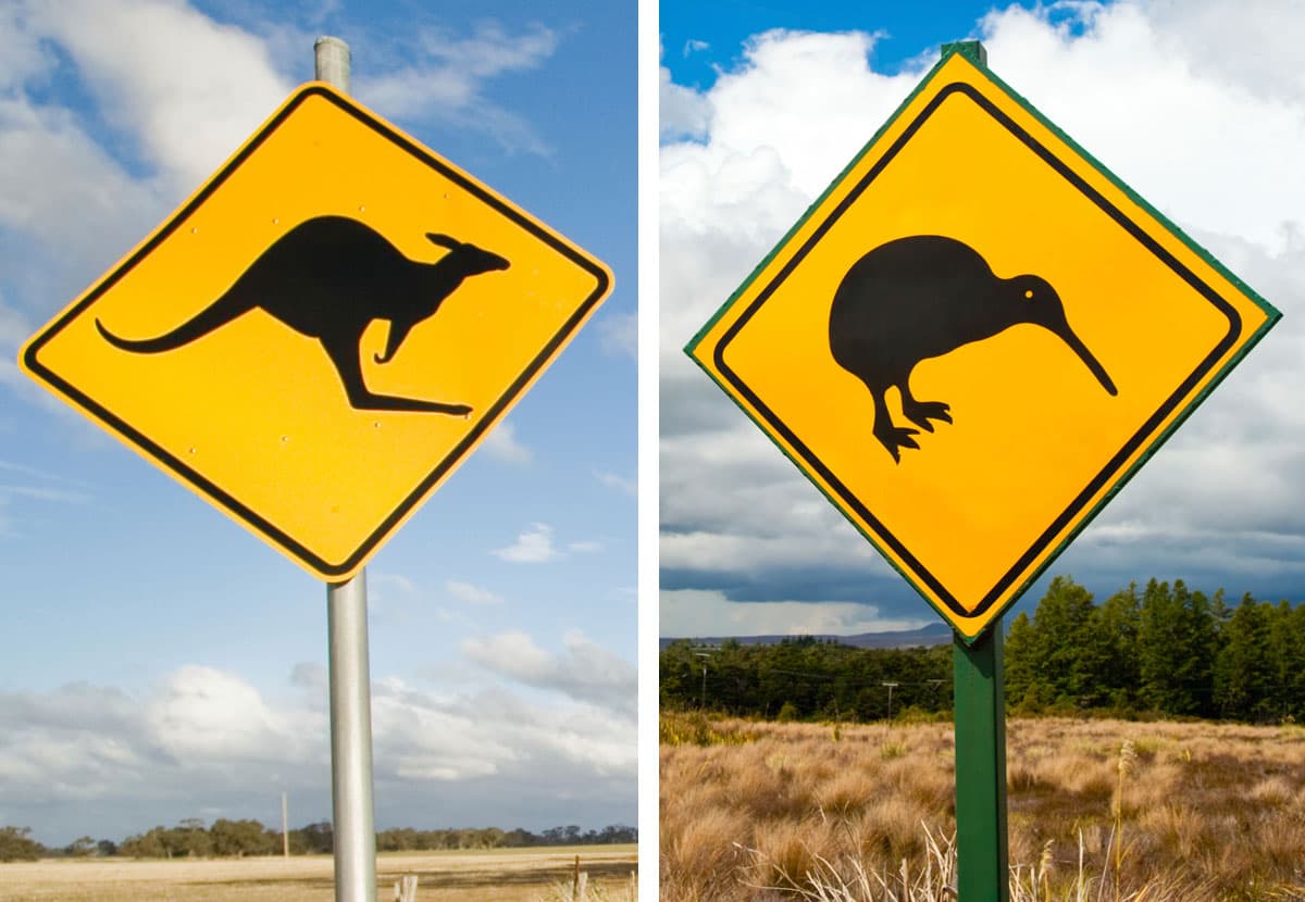 Trans-Tasman Feuds