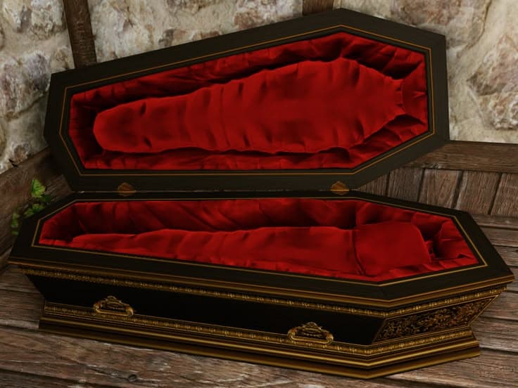 Vampire coffin