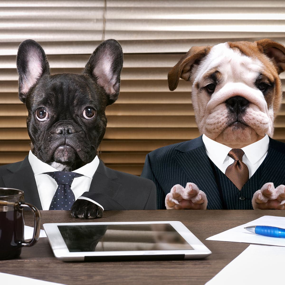 Work Like a Dog Day – August 5, 2024