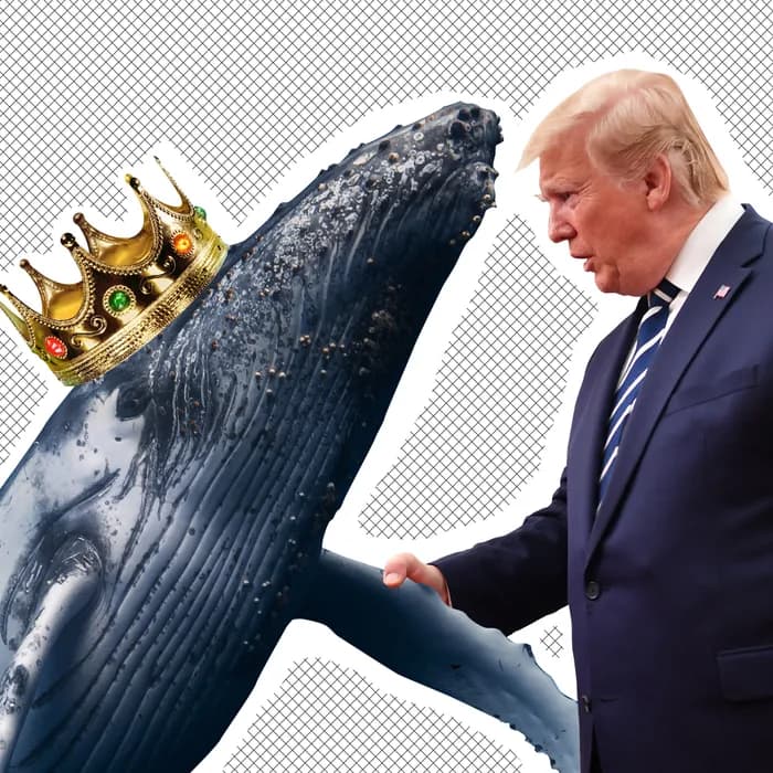 President Trump befriended a whale