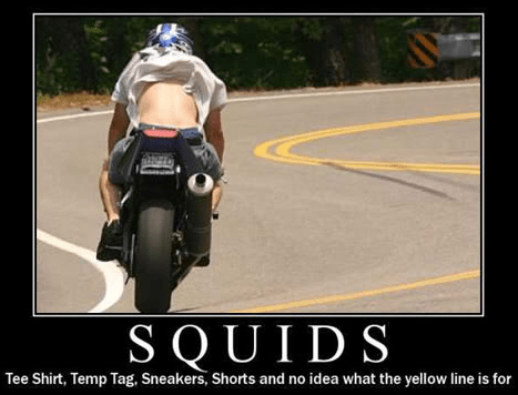 squid and bike